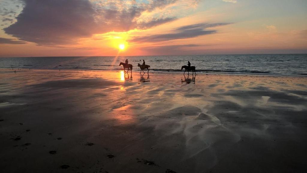 L'Eden Parc Daire Villers-sur-Mer Dış mekan fotoğraf